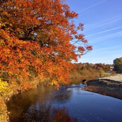 Ribble Valley Holiday Cottages Location