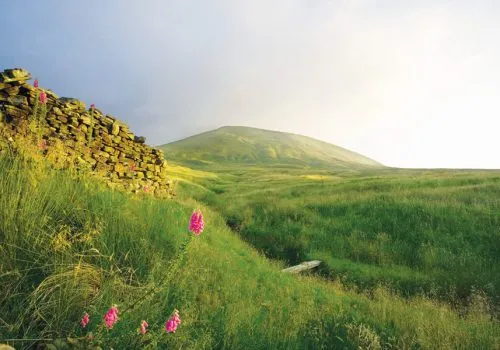 Ribble Valley Holiday Cottages Home Explore
